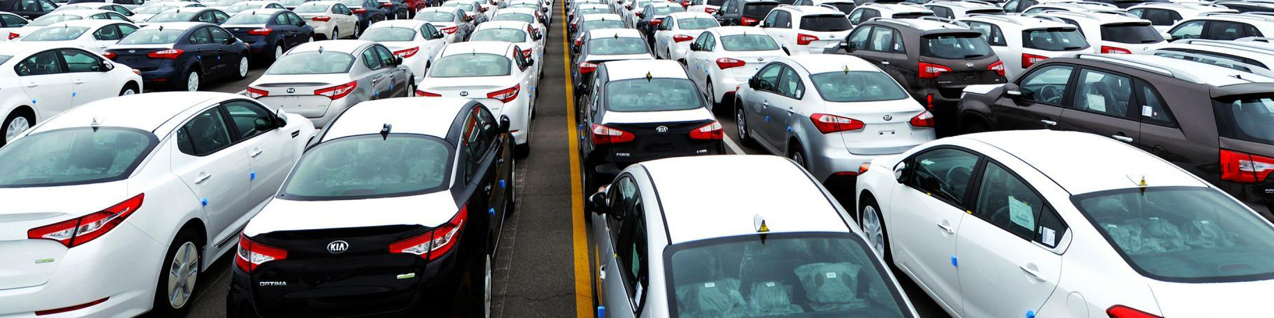 شرایط واردات خودرو توسط جانبازان اعلام شد